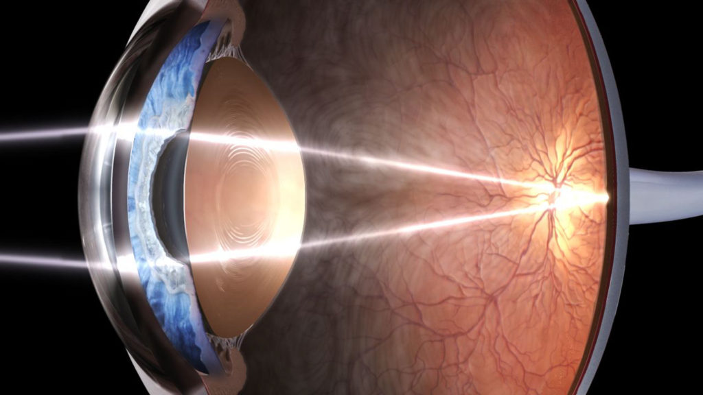 A Journey Through the Human Eye A Journey Through the Human Eye