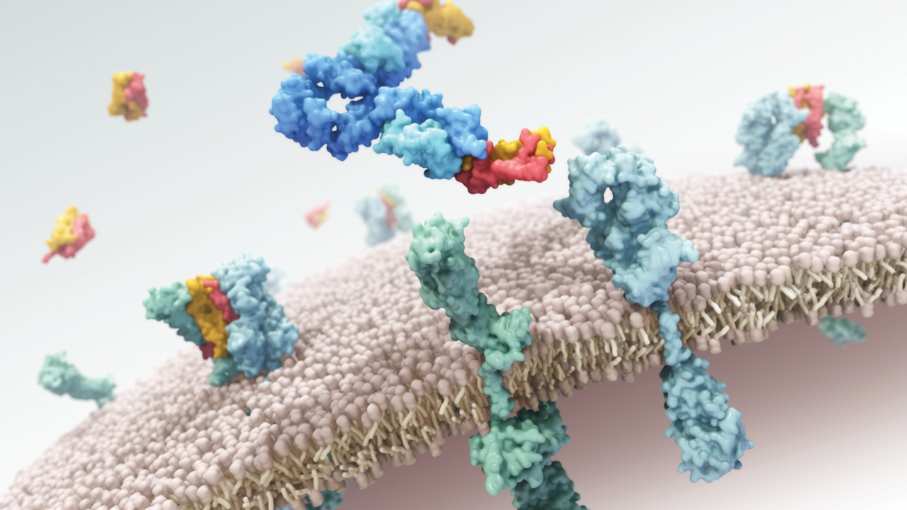 Psoriasis biologic MOA Animation AXS Studio