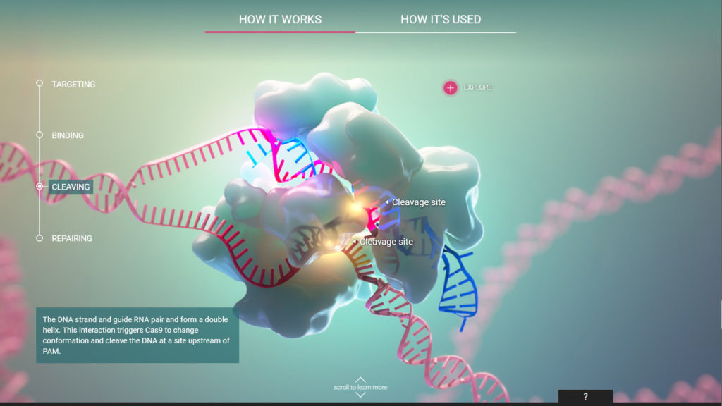 axs-studio-scientific-interactive-crispr-cas-9-HHMI-03-1