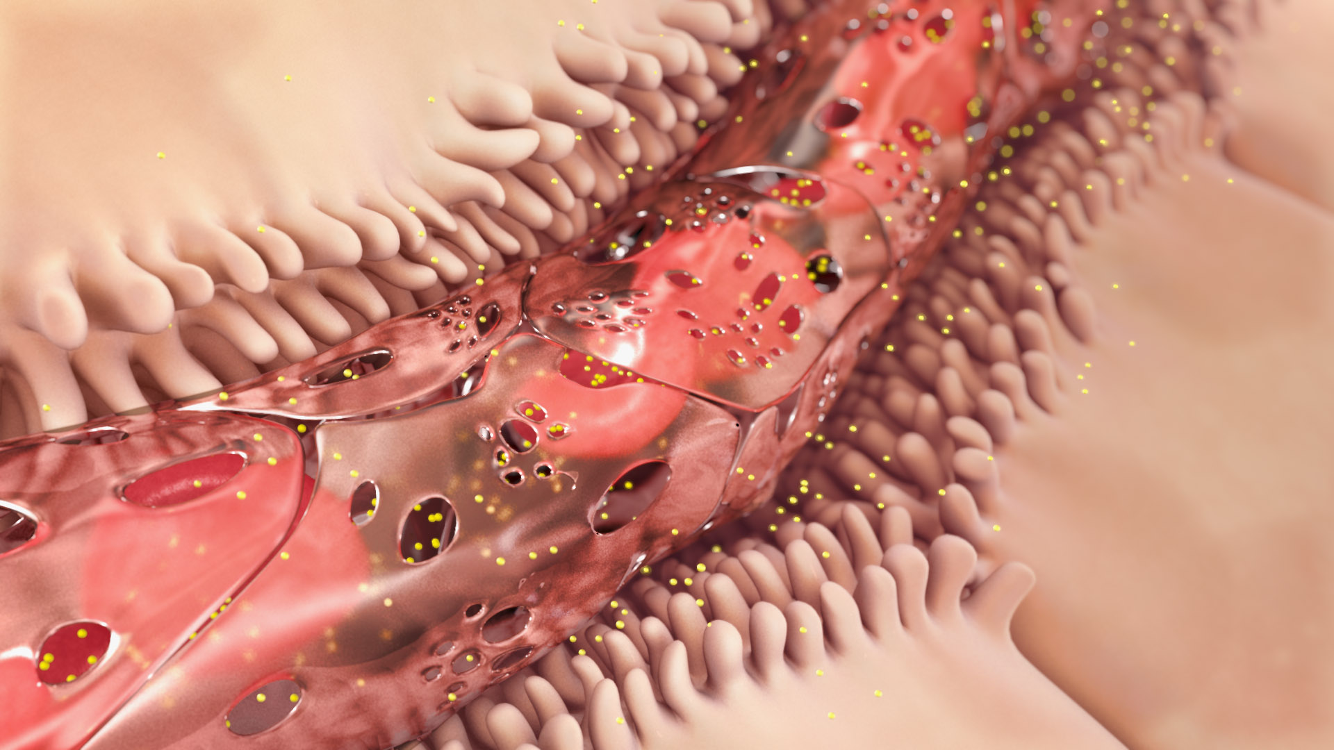 Medical Animation: PCSK9 LDL Cholesterol Regulation MOA | Medical ...