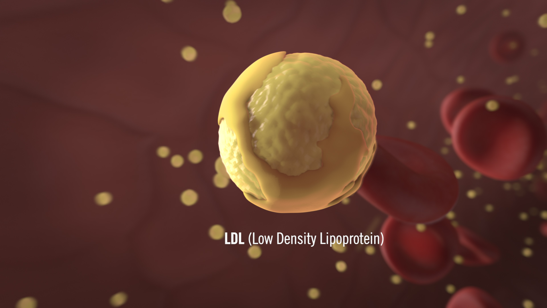 Medical Animation PCSK9 LDL Cholesterol Regulation MOA Medical