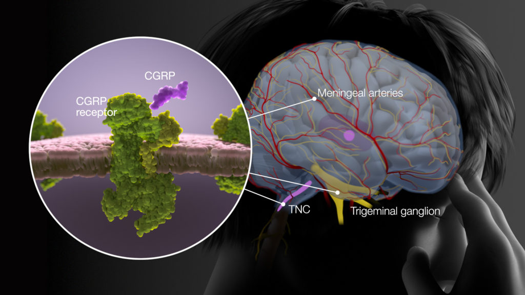 axs-studio-medical-animation-migraine-cgrp