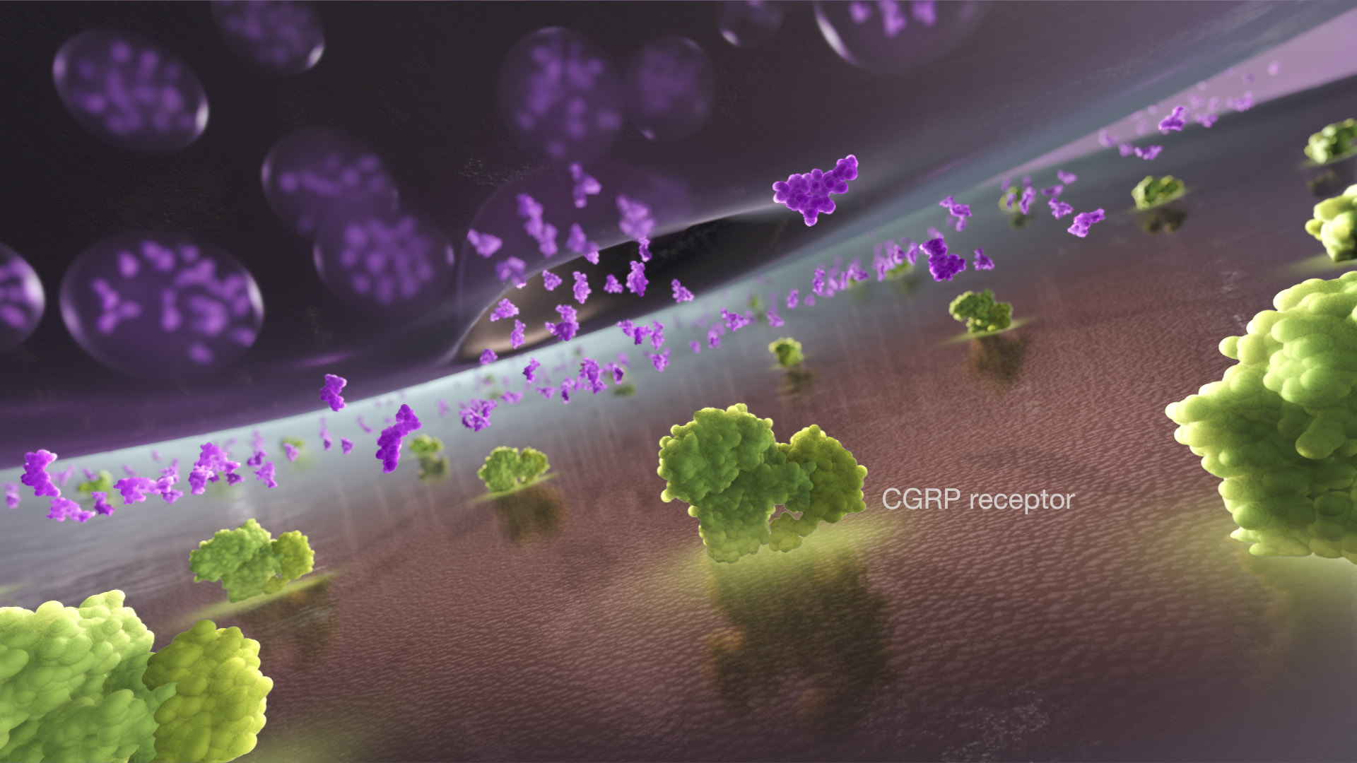 Medical Animation: CGRP in Migraine | AXS Studio