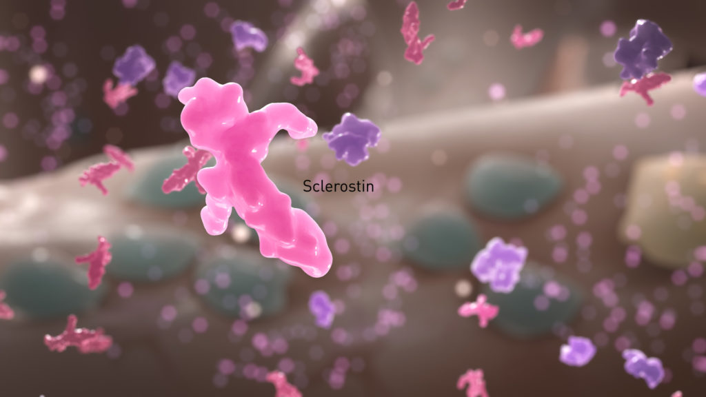 axs-studio-medical-animation-osteoporosis-sclerostin