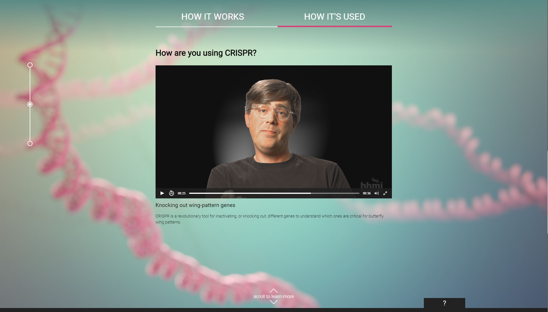 axs-studio-scientific-interactive-crispr-cas-9-HHMI-04