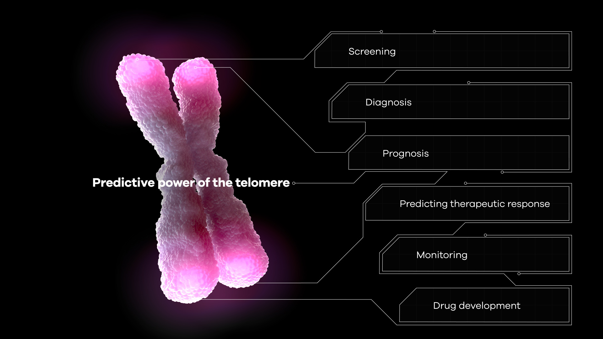 axs-studio-scientific-animation-molecular-diagnostics-telomere-02