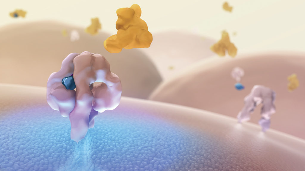 Basal Insulin Therapy Basal Insulin Therapy