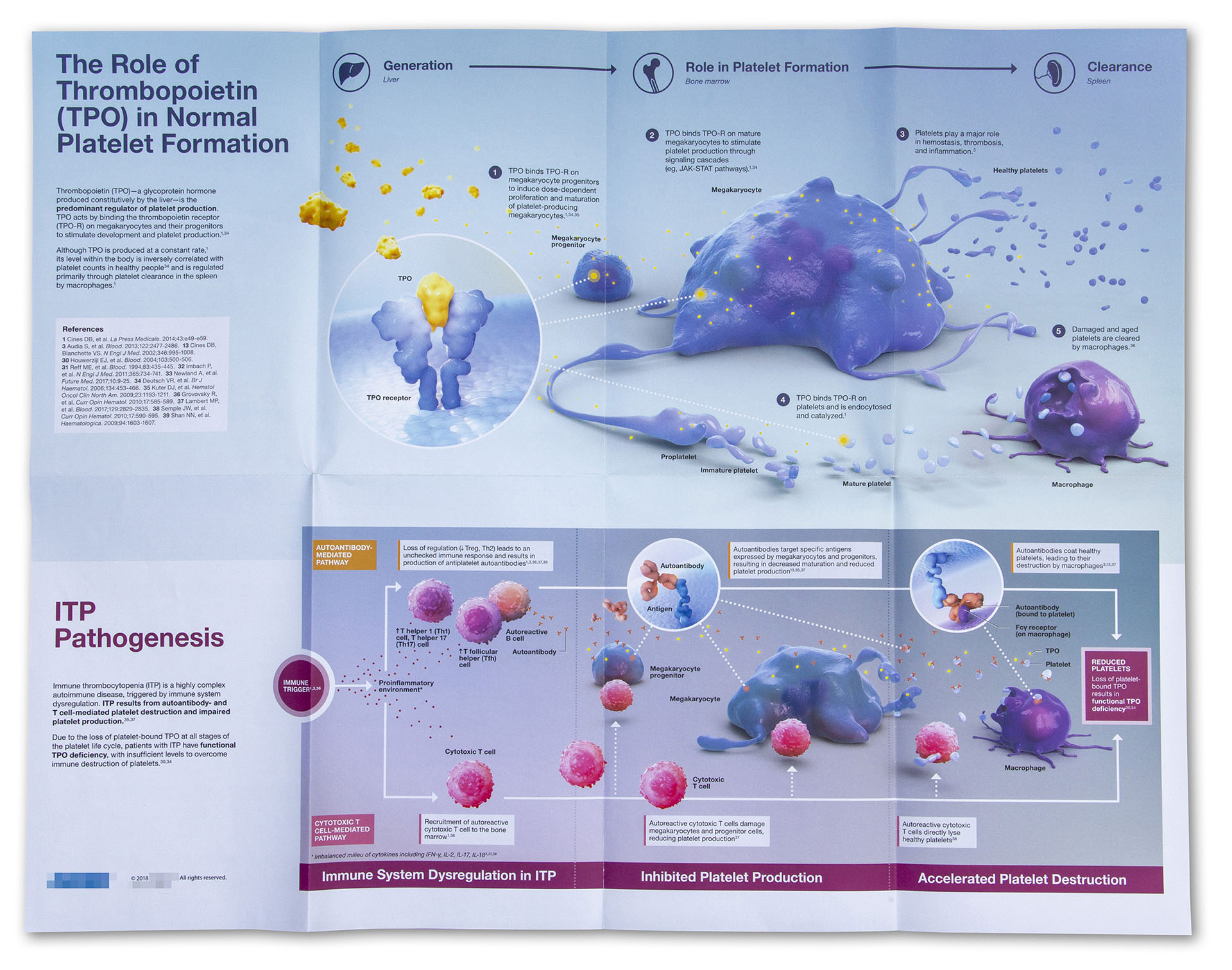 Autoimmune disease medical illustration | Medical Animation ...