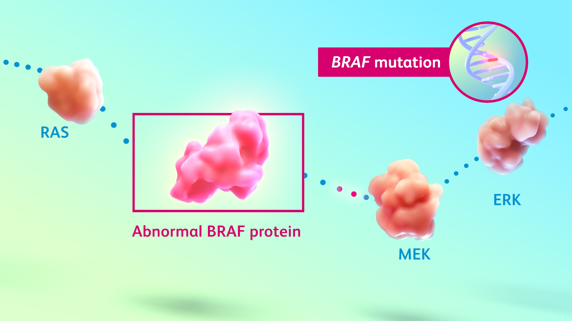 Medical Animation: BRAF Inhibitor for Melanoma