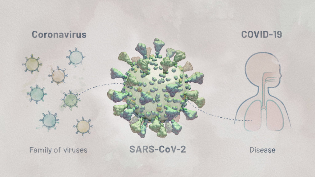 axs-studio-scientific-animation-SARS-CoV2-COVID19-01