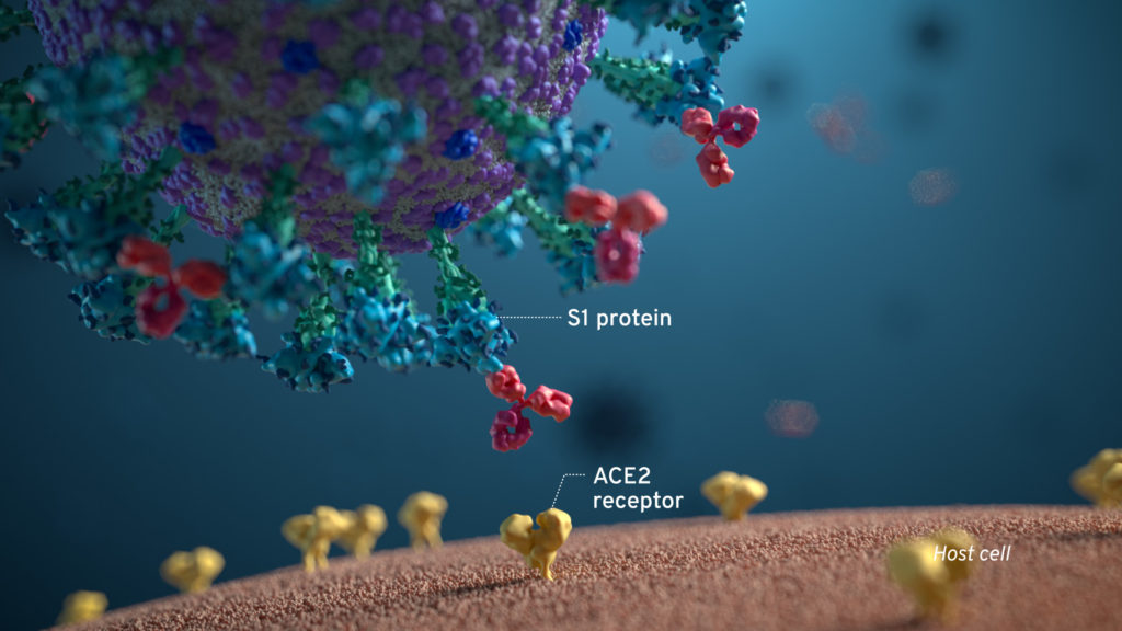 axs-studio-scientific-animation-SARS-CoV2-diagnostic-02