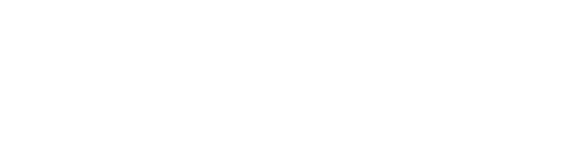 axs_logo_digital_white