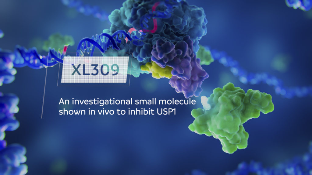 Title screen from XL309 MOA animation. SL is an emerging strategy for targeting cancer cells. Our client’s lead SL candidate, XL309, inhibits USP1, a deubiquitinase essential for single-strand DNA break repair. Due to compensatory DNA repair mechanisms, XL309 has no effect on healthy cells. However, XL309 is lethal in cancers with homologous recombination (HR)-deficiency that have genetic alterations impairing double-strand DNA break repair. To explain this complex story to multiple audiences, we created a clear, concise MOA animation. Flowchart-like 3D motion graphics make it easy to follow the complex interplay of DNA damage repair mechanisms, while molecular scenes illustrate how the different proteins interact to orchestrate DNA repair. 