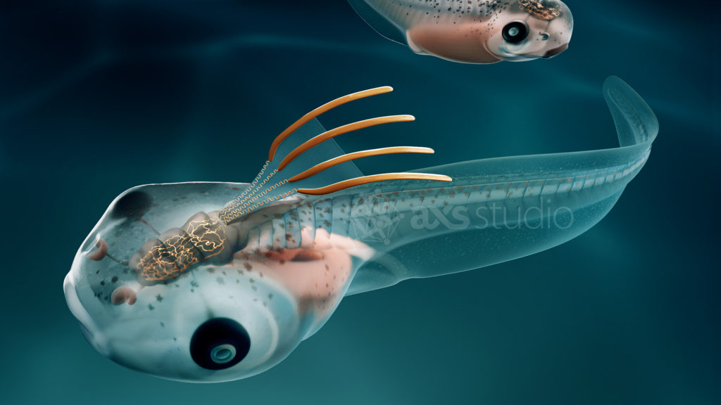 Cyborg Tadpole cover for Nature Publishing Volume 642 Issue 8069, 26 June 2025