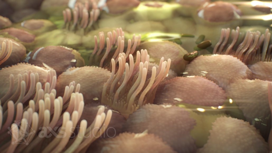 Magnified view of epithelial cells that line the respiratory tract. A thin layer of mucus and debris cover the cells. Clusters of hair-like cilia stick out from the cell surfaces. The scene resembles sea anemones in a shallow tide pool.