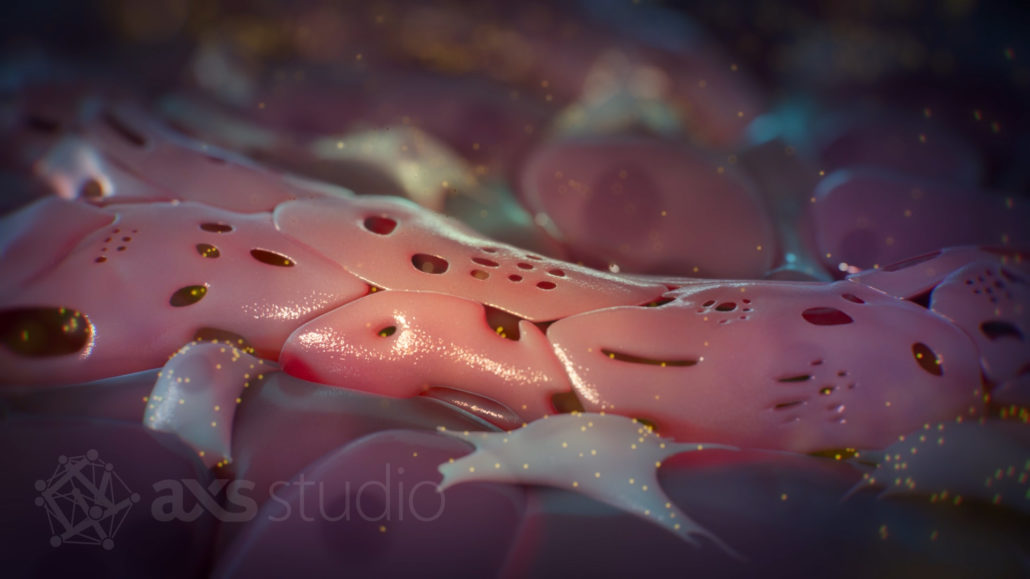 A short segment of a liver sinusoid viewed from outside of the vessel. The endothelial cells that make up the vessel wall have holes of irregular shape and size, making the inside of the vessel partially visible. Liver cells (hepatocytes) and star-shaped stellate cells flank the vessel. Gold nanoparticles have leaked through the holes in the vessel and into the surrounding liver tissue.