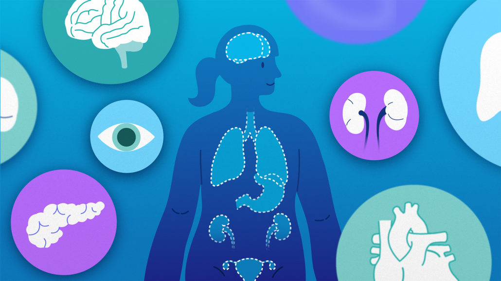 Editorial illustration of a woman's head and torso. Her body is head-on and her head is turned to the side in profile view. She has a ponytail. Dashed lines form the outline of several internal organs, including the brain, lungs and heart. Arranged around the woman are circular panels featuring  various organs, including an eye, kidneys and a pancreas.