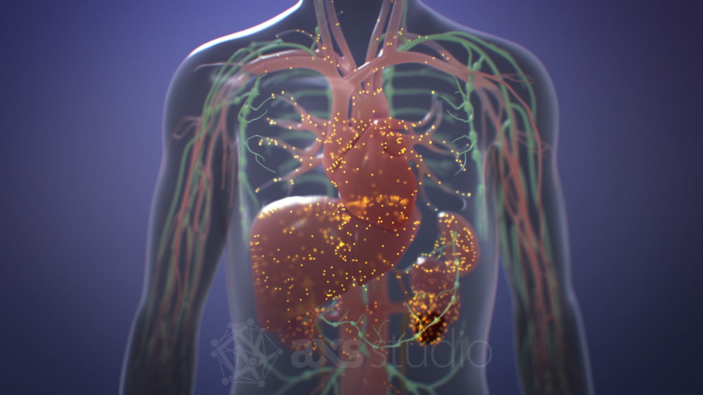 Still image from scientific animation about the Nanoparticle Active Transport and Retention (ATR) principle. The silhouetted adult male figure shows the lymphatic and circulatory systems. The nanoparticles can be seen accumulated in the spleen, heart, kidneys and liver.