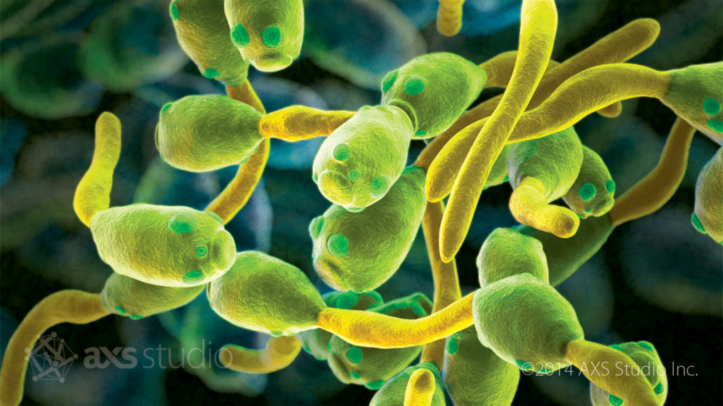 A cluster of green and yellow cells are shown in focus in the foreground over a darker, blurred background.
