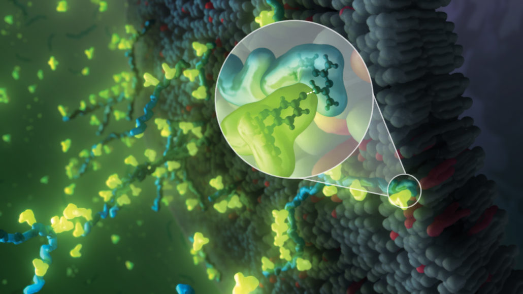 NaFl, sodium fluorescein, shown binding to PHMB adhered to corneal epithelium. NaFl is bright green. PHMB is blue. The corneal epithelium is dark grey and red. A callout circle shows ball-and-stick molecular models within surface models and the ionic bond between NaFl and PHMB.