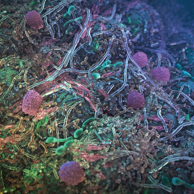 June 27 is World Microbiome Day, a time to acknowledge—and perhaps celebrate—the tiny lifeforms we share the planet with. As adult humans we coexist with about 38 trillion microbes on and within our bodies. The human microbiome is inextricably linked to our health, something researchers have been exploring ever more since the 10-year Integrative Human Microbiome Project completed in 2019. Check out our blog post [5-minute read] on creating the cover illustration for Nature Journal’s seminal publication of the Project’s research findings: 
.
.
.
#sciviz #scientificillustration #medicalillustration #scienceliteracy #guthealth