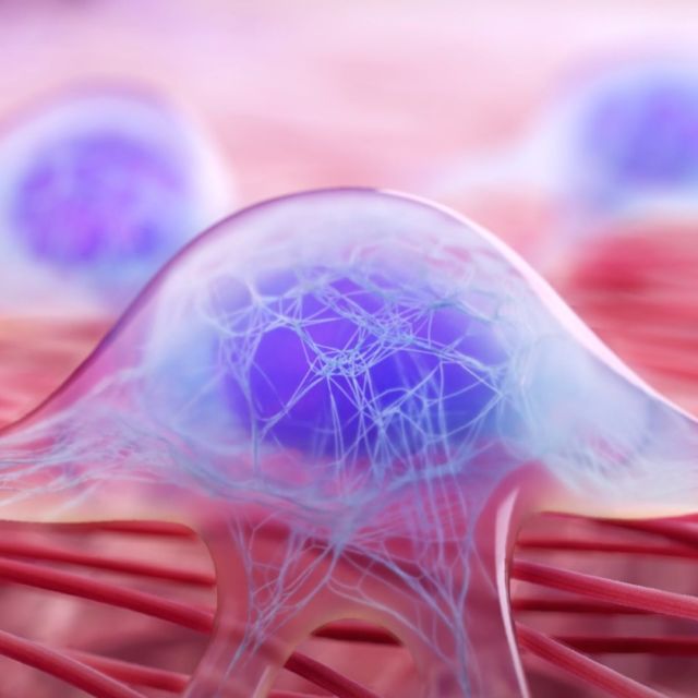 The new @axs_studio show reel features our top medical and scientific animation projects from the past few years. This compilation spans oncology, cardiology, dermatology, molecular biology, nanotechnology, neuroscience, ophthalmology, rare diseases, targeted drug delivery, robotic surgery and more. It's a must-see for professionals in healthcare, biopharma, medical affairs and scientific communications. Sound on for the excellent musical score by @zachkellum.
.
.
.
#sciart #science #medicalanimation #sciencevisualization #animation #pharma